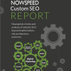 SEO Consultation Nowspeed