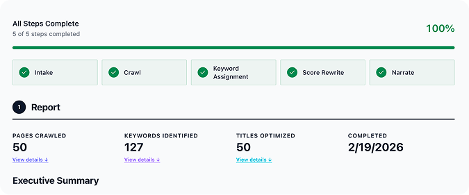 AI SEO Report 1